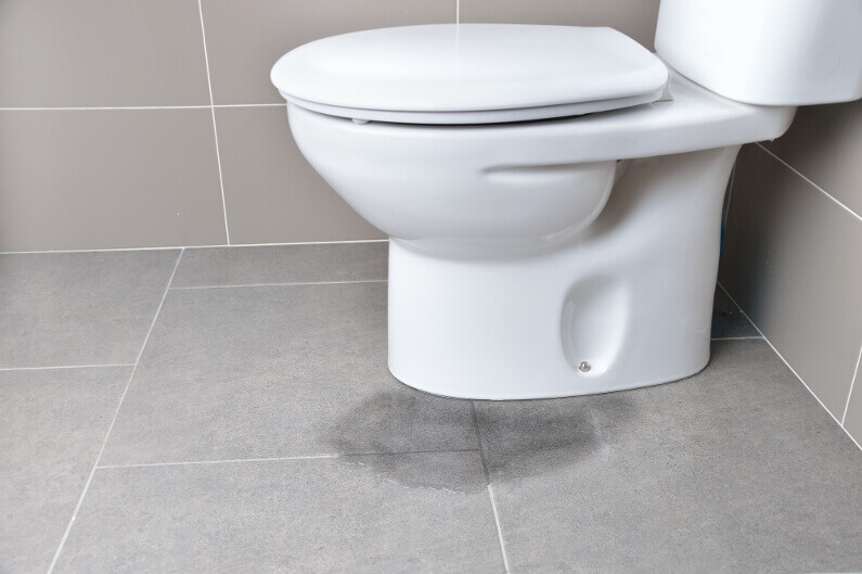 Why Is My Toilet Leaking?: 5 Common Causes of a Leaky Toilet (and What to Do About it!)